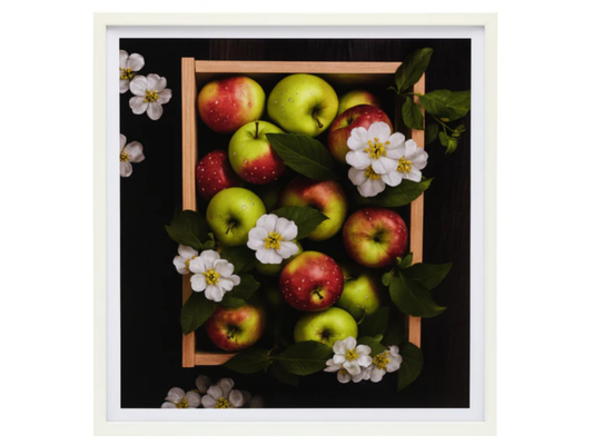 JC628217-3 Wandbild