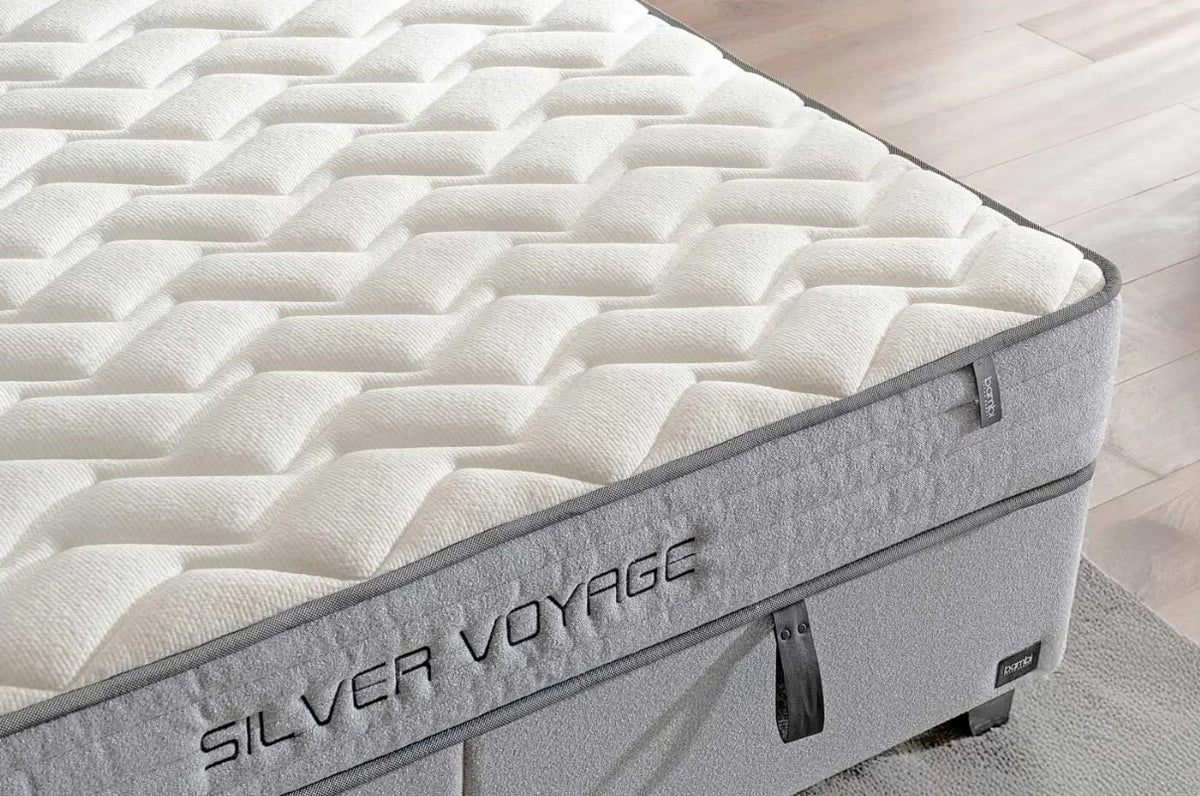 Bambi Silver Voyage Set 4
